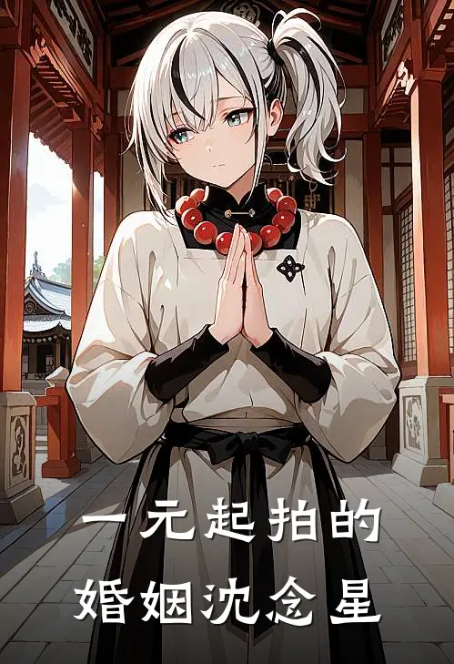 一元起拍的婚姻沈念星