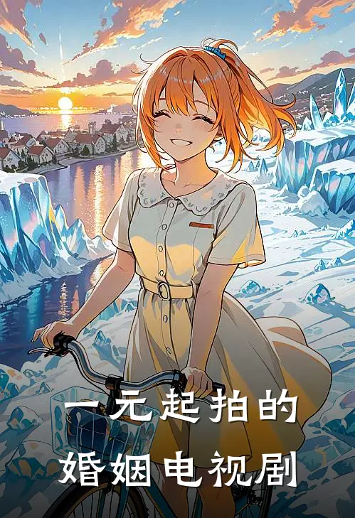 一元起拍的婚姻电视剧