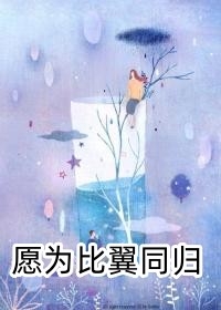 最新完本小说推荐夜场不说爱(韩飞费雪)_夜场不说爱韩飞费雪完结小说